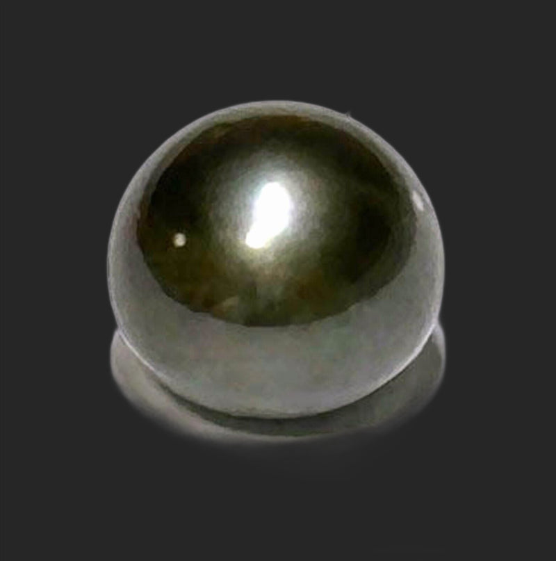 Oval Round 12.8 x 14mm Tahitian Sea Peacock Black Un - Drilled Loose Pearl