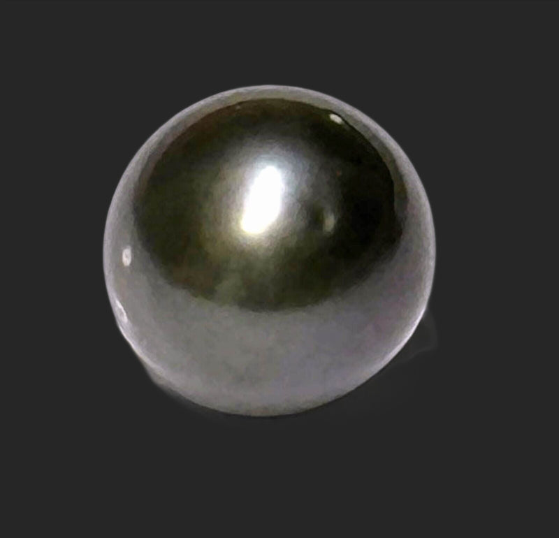 Oval Round 12.8 x 14mm Tahitian Sea Peacock Black Un - Drilled Loose Pearl
