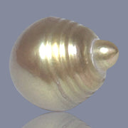 13.9 x 17mm 20.8 Carat Natural Gold Philippines South Sea Pearl Loose