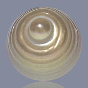 13.9 x 17mm 20.8 Carat Natural Gold Philippines South Sea Pearl Loose