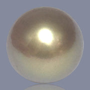 13.9 x 17mm 20.8 Carat Natural Gold Philippines South Sea Pearl Loose