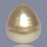 Giant Oval 16.4 x 18mm Deep Gold Philippines South Sea Loose Pearl