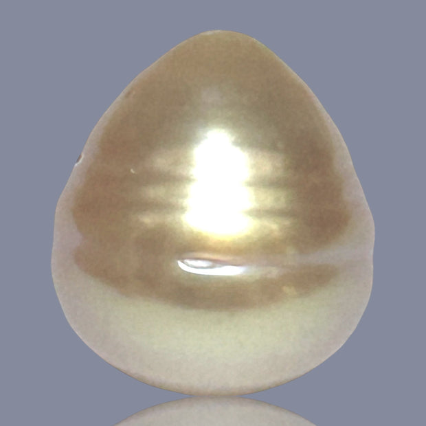 Giant Oval 16.4 x 18mm Deep Gold Philippines South Sea Loose Pearl