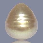 Giant Oval 16.4 x 18mm Deep Gold Philippines South Sea Loose Pearl