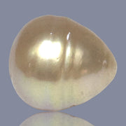 Giant Oval 16.4 x 18mm Deep Gold Philippines South Sea Loose Pearl