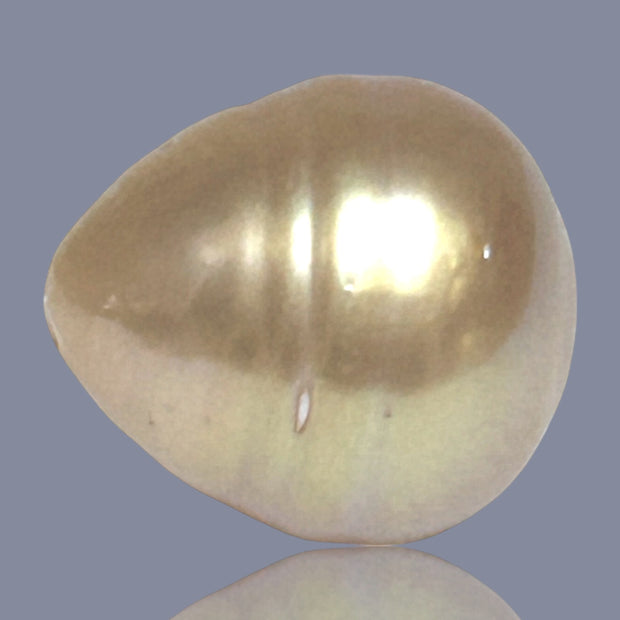 Giant Oval 16.4 x 18mm Deep Gold Philippines South Sea Loose Pearl