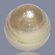 Giant Oval 16.4 x 18mm Deep Gold Philippines South Sea Loose Pearl