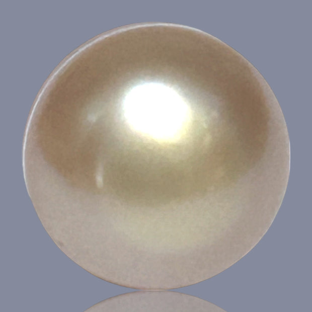 Giant Oval 16.4 x 18mm Deep Gold Philippines South Sea Loose Pearl