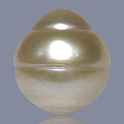 RARE Giant 17.3 x 19mm 38.6 Carat Rich Gold South Sea Loose Pearl