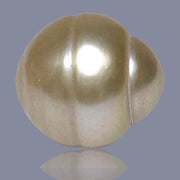 RARE Giant 17.3 x 19mm 38.6 Carat Rich Gold South Sea Loose Pearl