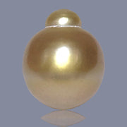 RARE Giant 15 x 18mm 27.8 Carats Deep Gold South Sea Loose Pearl