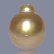 RARE Giant 15 x 18mm 27.8 Carats Deep Gold South Sea Loose Pearl