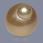 RARE Giant 15 x 18mm 27.8 Carats Deep Gold South Sea Loose Pearl