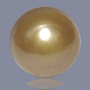 RARE Giant 15 x 18mm 27.8 Carats Deep Gold South Sea Loose Pearl