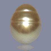 Oval Giant 13.6 x 17.2mm Deep Gold Philippines South Sea Loose Pearl