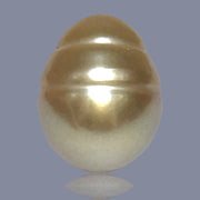 Oval Giant 13.6 x 17.2mm Deep Gold Philippines South Sea Loose Pearl