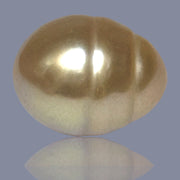 Oval Giant 13.6 x 17.2mm Deep Gold Philippines South Sea Loose Pearl