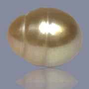 Oval Giant 13.6 x 17.2mm Deep Gold Philippines South Sea Loose Pearl