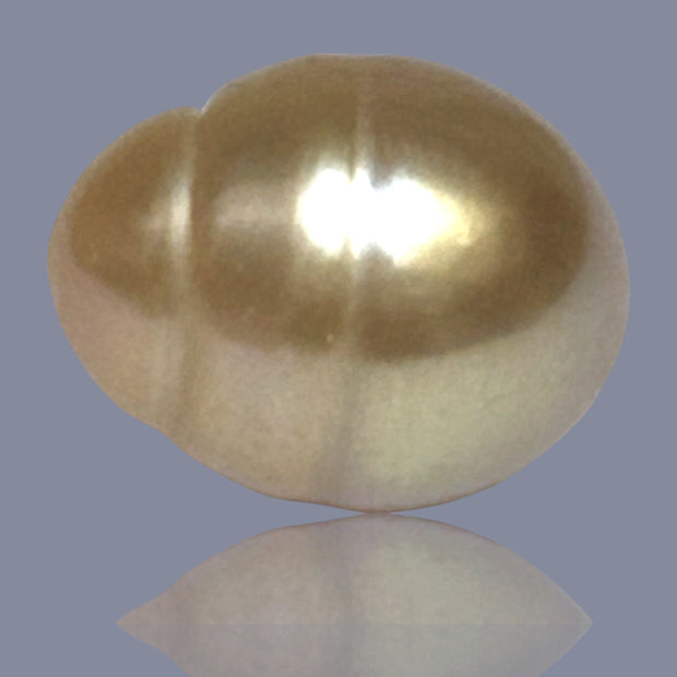 Oval Giant 13.6 x 17.2mm Deep Gold Philippines South Sea Loose Pearl