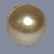 Oval Giant 13.6 x 17.2mm Deep Gold Philippines South Sea Loose Pearl