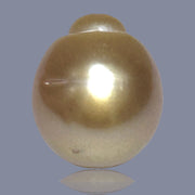 Oval Giant 15.8 x 18.4mm 31.8 Carats Deep Gold South Sea Loose Pearl