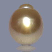 Oval Giant 15.8 x 18.4mm 31.8 Carats Deep Gold South Sea Loose Pearl