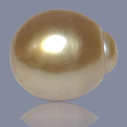 Oval Giant 15.8 x 18.4mm 31.8 Carats Deep Gold South Sea Loose Pearl