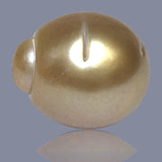 Oval Giant 15.8 x 18.4mm 31.8 Carats Deep Gold South Sea Loose Pearl