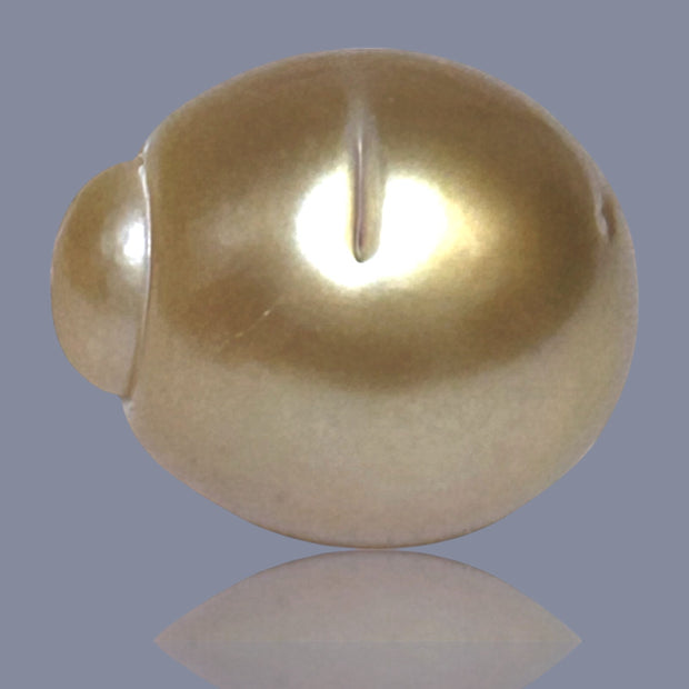 Oval Giant 15.8 x 18.4mm 31.8 Carats Deep Gold South Sea Loose Pearl