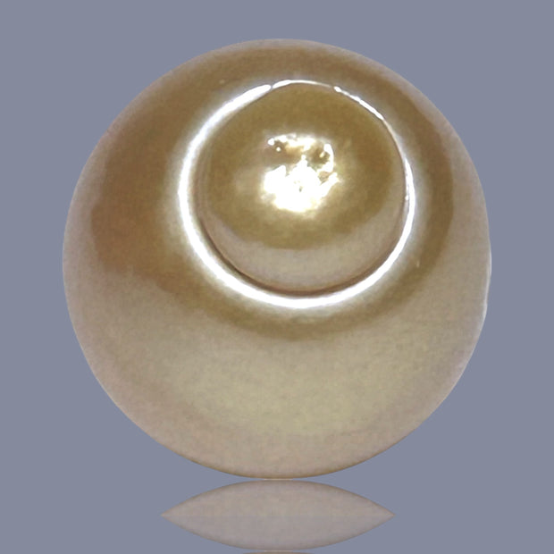 Oval Giant 15.8 x 18.4mm 31.8 Carats Deep Gold South Sea Loose Pearl