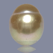 Oval Giant 16.6 x 19.6mm 37.6 Carats Deep Gold South Sea Loose Pearl