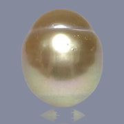 Oval Giant 16.6 x 19.6mm 37.6 Carats Deep Gold South Sea Loose Pearl