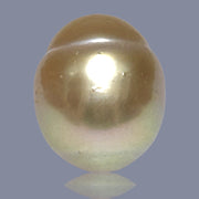 Oval Giant 16.6 x 19.6mm 37.6 Carats Deep Gold South Sea Loose Pearl