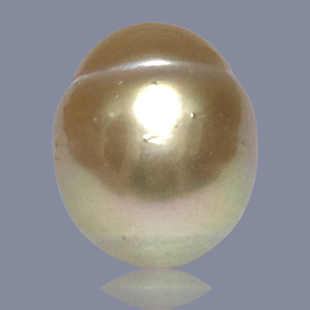 Oval Giant 16.6 x 19.6mm 37.6 Carats Deep Gold South Sea Loose Pearl