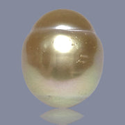 Oval Giant 16.6 x 19.6mm 37.6 Carats Deep Gold South Sea Loose Pearl