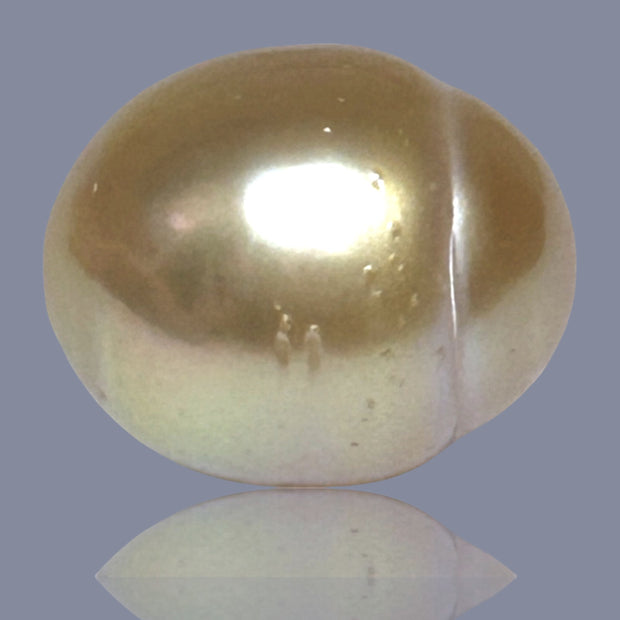 Oval Giant 16.6 x 19.6mm 37.6 Carats Deep Gold South Sea Loose Pearl