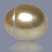 Oval Giant 16.6 x 19.6mm 37.6 Carats Deep Gold South Sea Loose Pearl