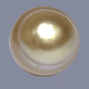 Oval Giant 16.6 x 19.6mm 37.6 Carats Deep Gold South Sea Loose Pearl