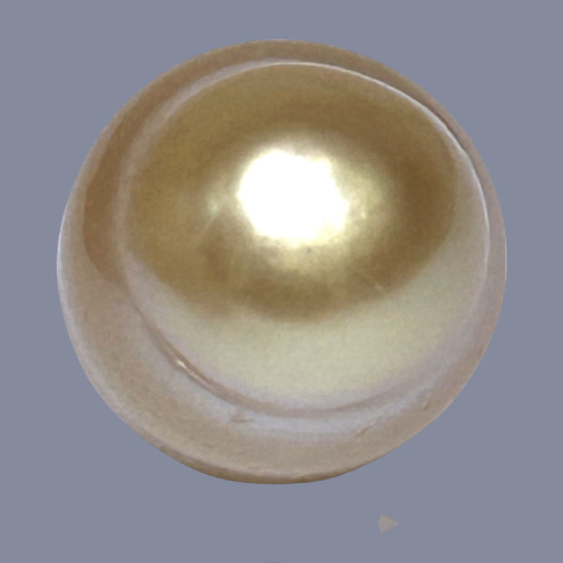 Oval Giant 16.6 x 19.6mm 37.6 Carats Deep Gold South Sea Loose Pearl