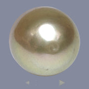 Oval Giant 16.6 x 19.6mm 37.6 Carats Deep Gold South Sea Loose Pearl