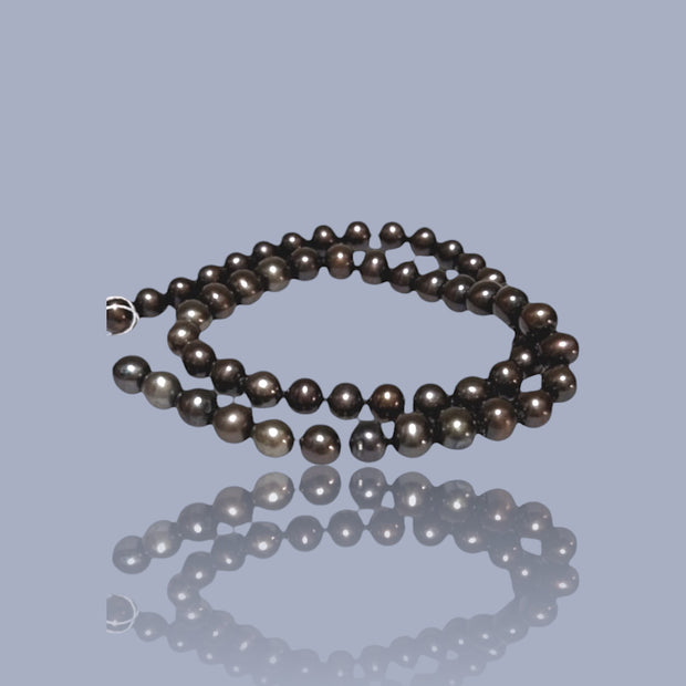 Fantastic 8 - 8.2mm Chocolate Brown Bronze Round Pearl 16" Strand