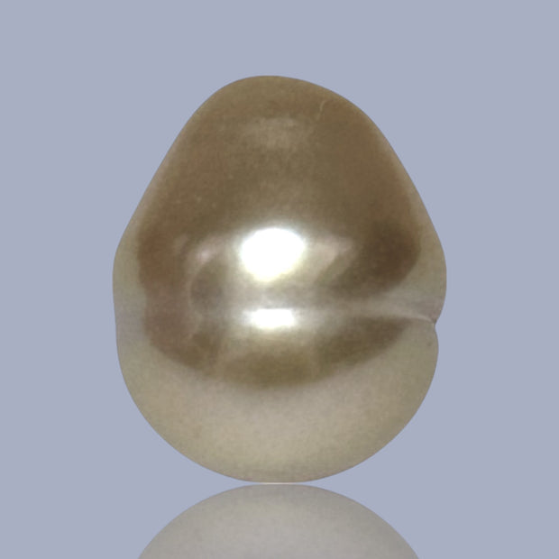 Oval Drop 14.5 x 17.5mm 26.4 Carats Deep Gold South Sea Loose Pearl