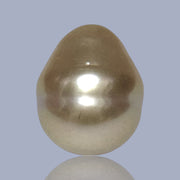 Oval Drop 14.5 x 17.5mm 26.4 Carats Deep Gold South Sea Loose Pearl