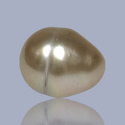 Oval Drop 14.5 x 17.5mm 26.4 Carats Deep Gold South Sea Loose Pearl