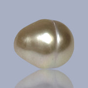 Oval Drop 14.5 x 17.5mm 26.4 Carats Deep Gold South Sea Loose Pearl