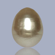 Oval Drop 14.3 x 17.7mm Deep Gold Philippines South Sea Loose Pearl