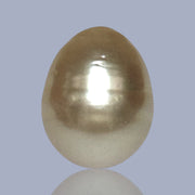 Oval Drop 14.3 x 17.7mm Deep Gold Philippines South Sea Loose Pearl