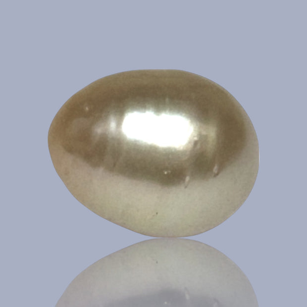 Oval Drop 14.3 x 17.7mm Deep Gold Philippines South Sea Loose Pearl