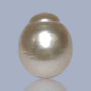 Giant Oval 13.7 x 16.3mm 22 Carats Gold South Sea Pearl Loose Un-Drilled