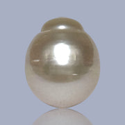 Giant Oval 13.7 x 16.3mm 22 Carats Gold South Sea Pearl Loose Un-Drilled